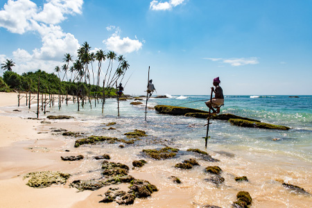 Exciting Sri Lanka Trip