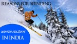 5 Reasons for Spending Winter Holidays in India
