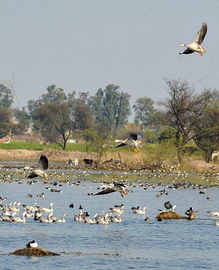 Sultanpur