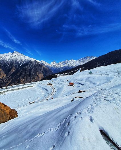 Auli