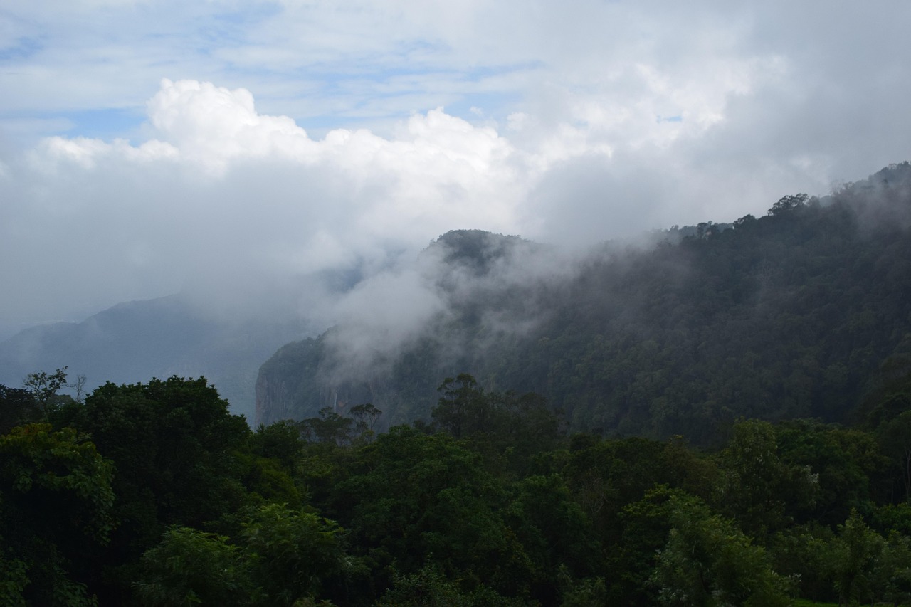 coonoor tour